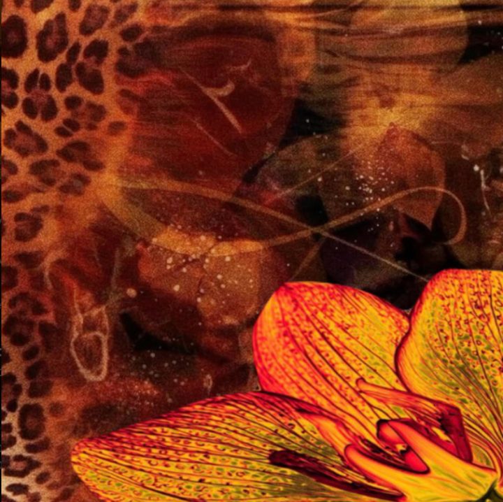 A Poem Written For (Clever Girl)